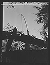 half track 1942